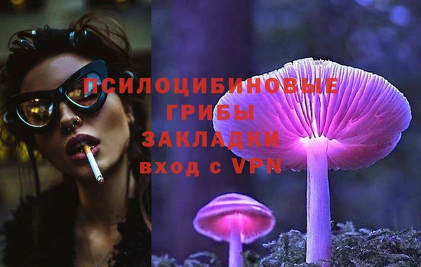 экстази Михайлов