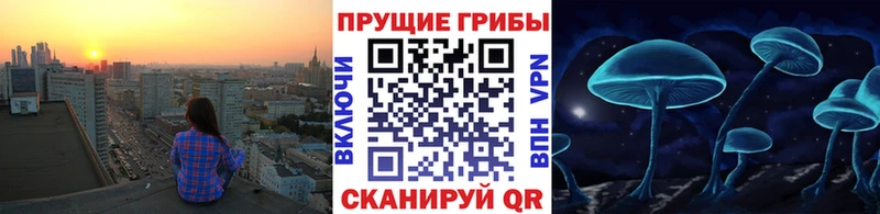 Галлюциногенные грибы мицелий  Александровск-Сахалинский 